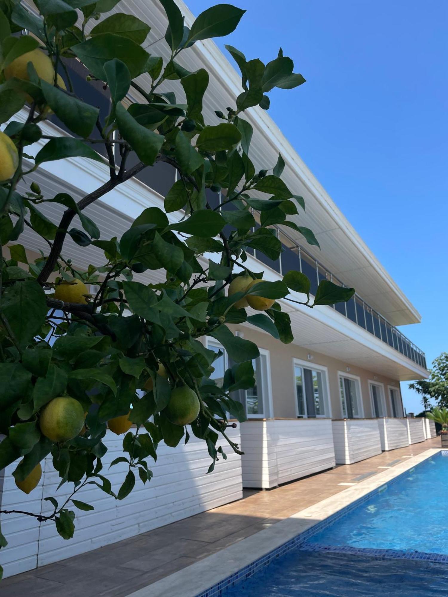 Gradina Holiday Sozopol Extérieur photo